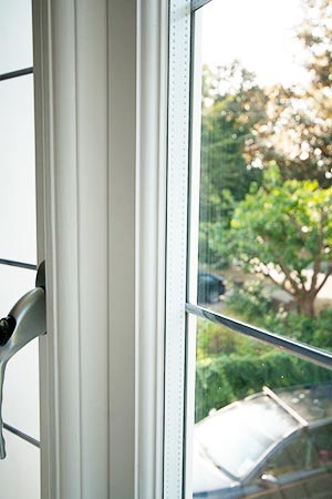 Choosing the right wood for your Timber Bay Windows in Surrey
